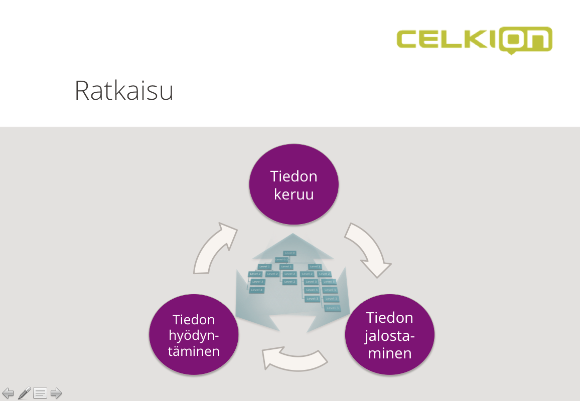 Ratkaisu Projektin tilannekuva muodostetaan keräämällä tietoa jatkuvasti projektin kaikilta ihmisiltä usein myös asiakkailta. Tiedon keruu voi perustua valmiisiin Celkionmoduleihin (esim.