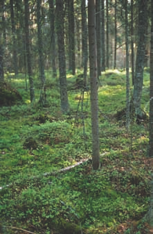 4.1.1.3 Puolukkakangaskorvet Koko maa 2 4 - VU* Pohjois-Suomi 4 5 - NT Etelä-Suomi 2 3 - EN Orivesi.