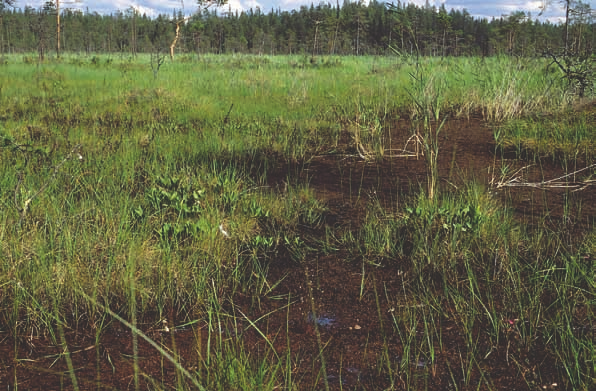 Kuusamo.