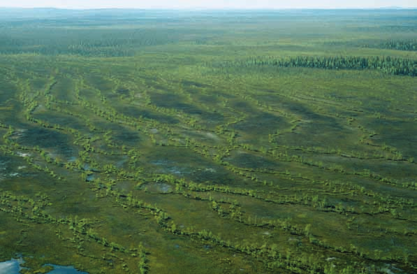 Viiankiaapa, Sodankylä. Kuva: Rauno Ruuhijärvi hoitotoimet, turpeenotto, rakentaminen (ml. tiet), kaivannaistoiminta, vesirakentaminen. Arvioinnin perusteet: Katso myös pohjoisboreaaliset aapasuot.