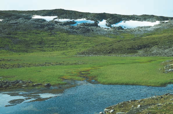 Suot Mallan luonnonpuisto, Kilpisjärvi, Enontekiö.
