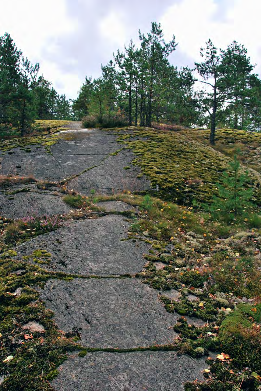 UUDENKAUPUNGIN KETUNKALLION LUONTOKARTOITUS