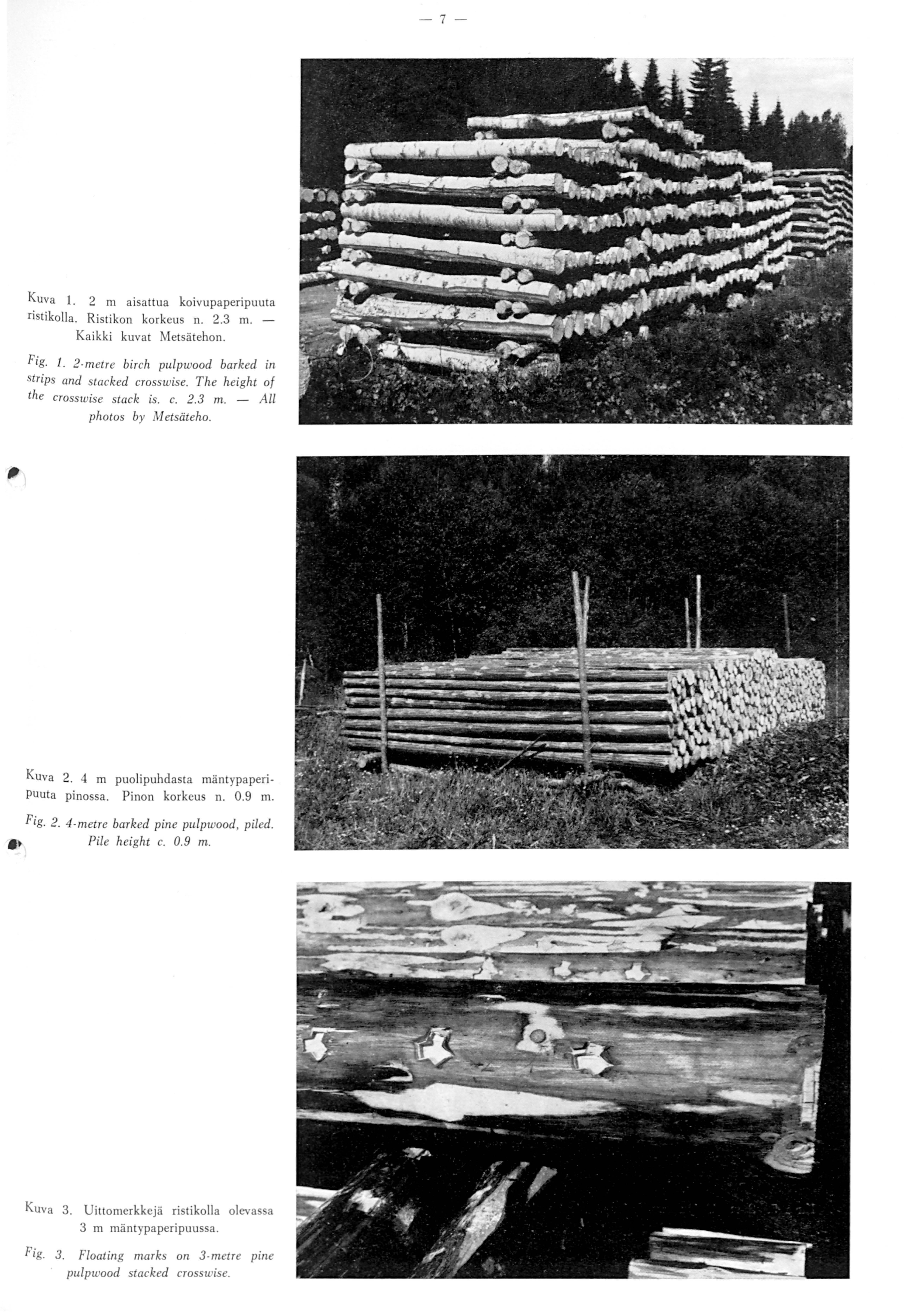 -7- Kuva 1. 2 m aisattua koivupaperipuuta ristikolla. Ristikon korkeus n. 2.3 m. Kaikki kuvat Metsätehon. Fig. 1. 2-metre birch pulpwood barked in strips and stacked crosswise.