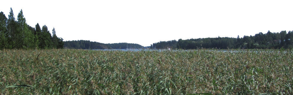 Alueidenkäytön suunni elussa olemassa olevat tai odote avissa olevat ympäristöhaitat ja poikkeukselliset luonnonolot tunnistetaan ja niiden vaikutuksia ehkäistään.
