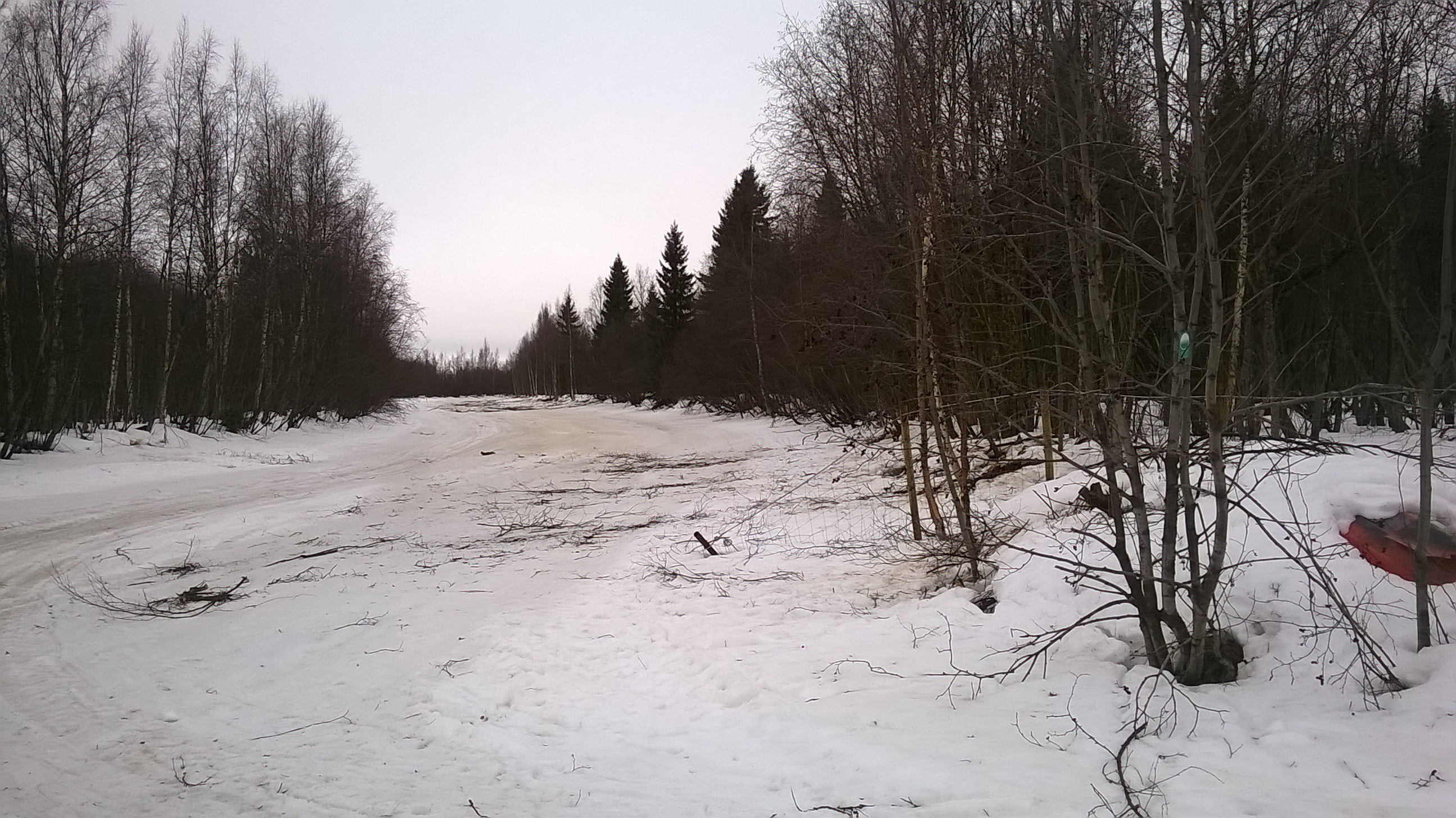 Lahopuut tulee säästää ja puuston monilajisuutta ja eri ikäisyyttä tulee suosia, mikä on perinnebiotooppilaitumille tunnusomainen piirre.