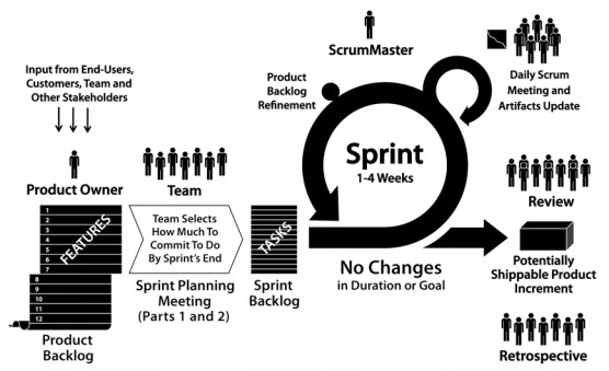 Scrum: roles,