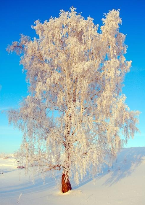 Tavoitteena turvallisuus - Päijät-Hämeen