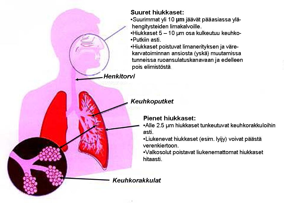 PAH-yhdisteiden aiheuttaman syöpäriskin merkkiaineena käytetään bentso(a)pyreeniä.