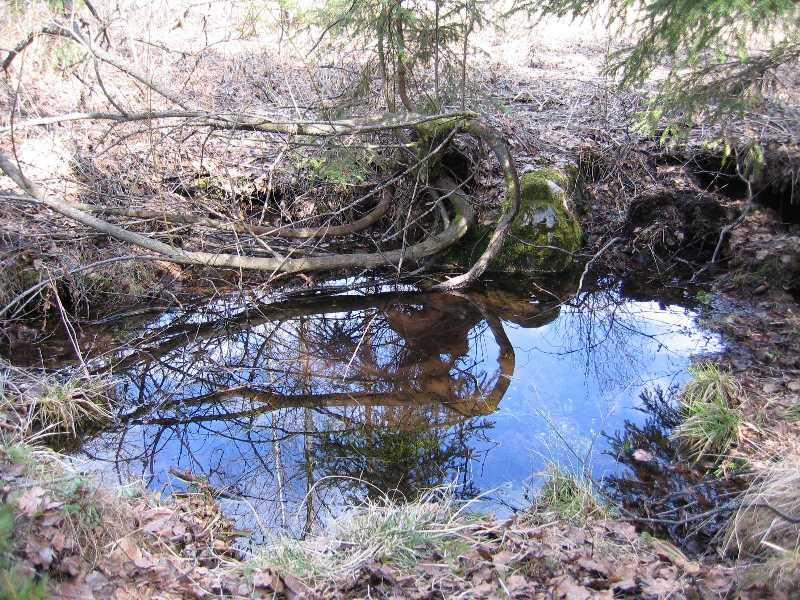 12. Takkulan lähde 3431506 6769028 Luonnontilainen lähde, selkeä silmäke uimarannan läheisyydessä, pohjasta selkeää veden purkautumista. 13.