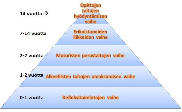 5 Taito ja motoriikka Motorisen kehityksen vaiheet Motorisella kehityksellä tarkoitetaan liikunnallisten taitojen kehittymistä tietyssä järjestyksessä prosessin omaisesti elämän aikana (Kuva 2).