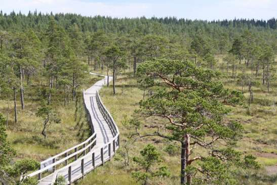 FCG SUUNNITTELU JA TEKNIIKKA OY Korvennevan tuulivoimapuisto 143 (265) Kristiinankaupungin saariston Natura-alue (FI0800134) on sisällytetty Natura 2000 verkostoon sekä luonto- että lintudirektiivin