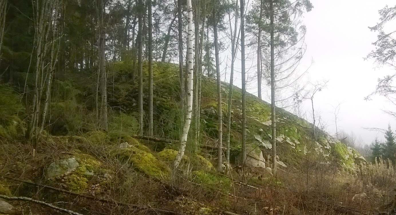 Siirtolohkareita metsässä.