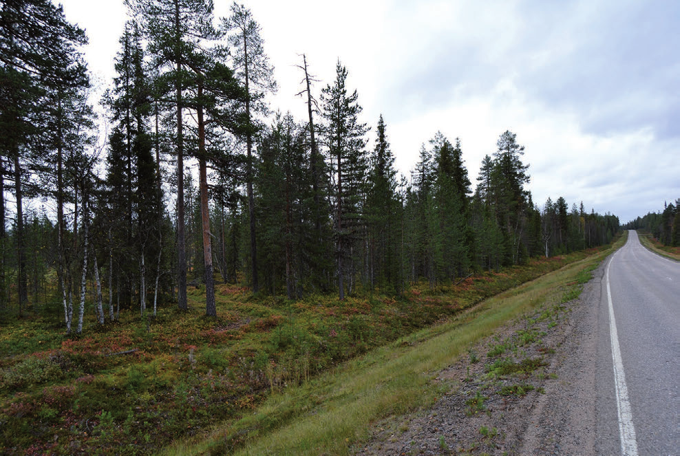 Suojavalli tulee näkymään autoilijalle muutamassa kohdassa maantietä. Suurimman osan Hannukaisen kylän tieosuutta valli jää tietä ylemmäksi ja tien vieressä olevan metsän taakse.