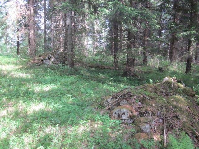 metsäniityt hakamaat Alueelta ei löydetty edellä listattuja elinympäristöjä. Uhanalaiset luontotyypit Raunion et.