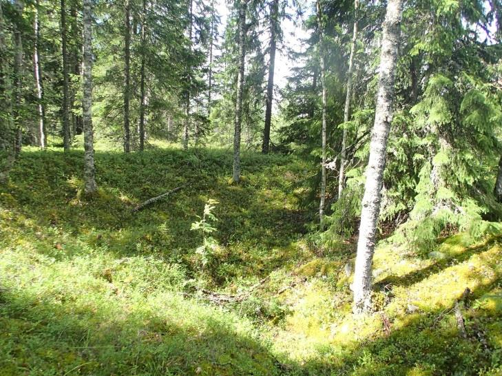 8 Huomiot: Bilund & Sepänmaa 2013: Tervahauta sijaitsee hiekkamoreenikankaan lakialueen itäreunalla. Itäpuolella rinne laskee jyrkkänä muutaman metrin ennen kuin tasoittuu loivaksi rinteeksi.