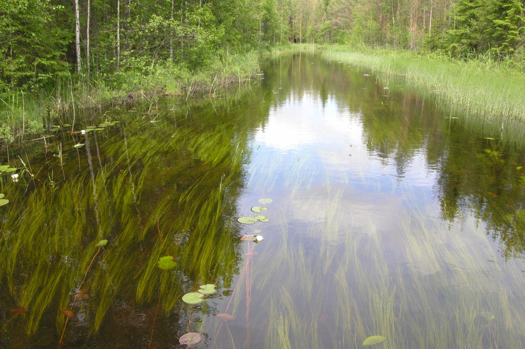 Valtakunnallinen vesienhoidon toteutusohjelma 2010 2015: www.ymparisto.