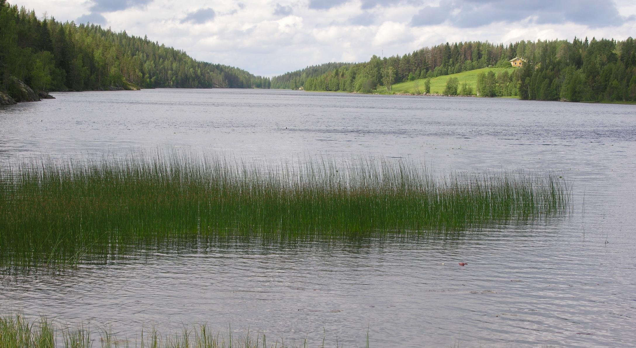 Vuoksen vesienhoitoalueen järvet ovat pääosin luontaisesti karuja ja kirkasvetisiä tai lievästi humuspitoisia, kuten Saimaa osa-altaineen.