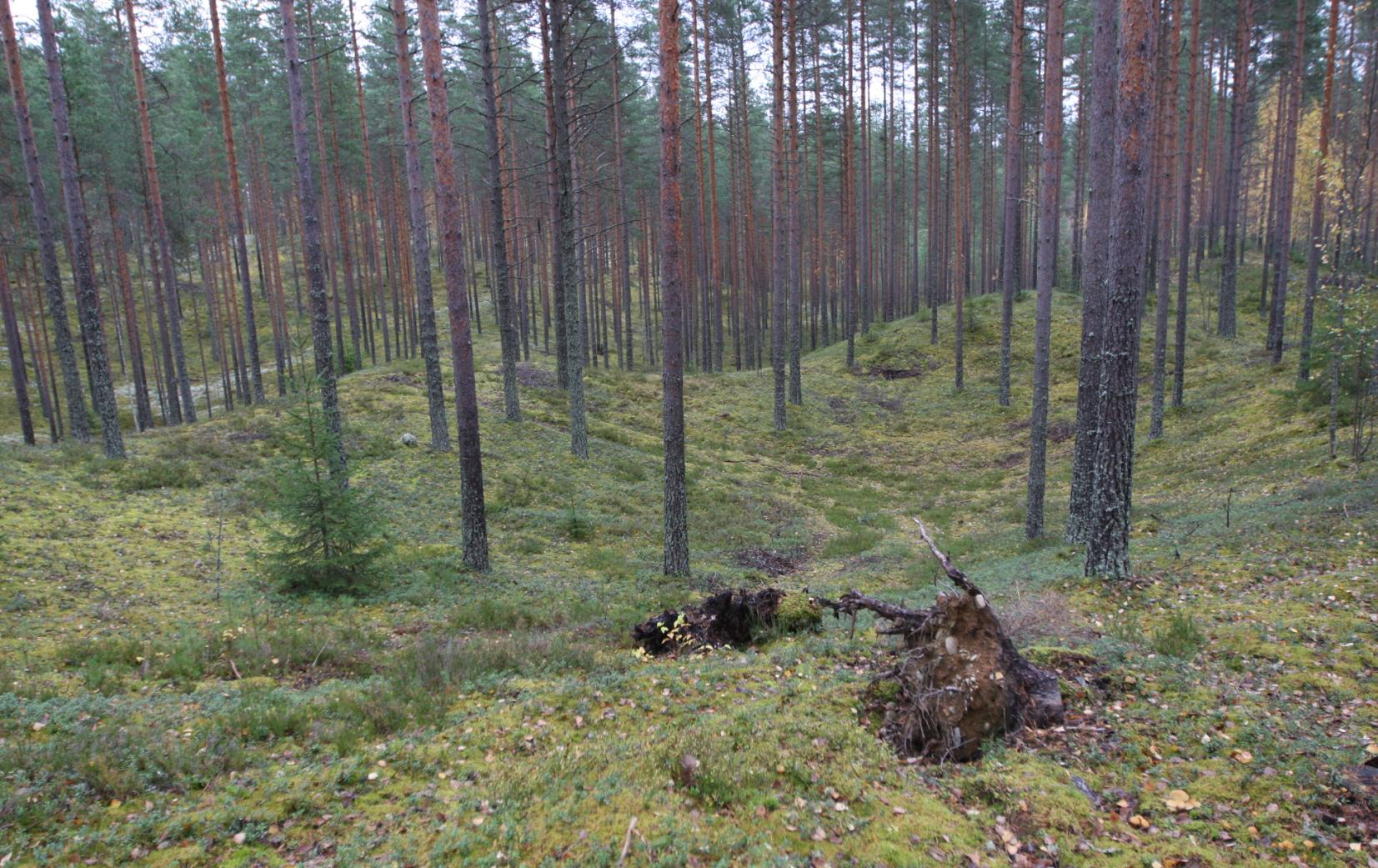 Osalla Vuoksen vesienhoitoalueen pohjavesialueista eri toiminnoista aiheutuneet päästöt ovat pilanneet pohjavesiä.