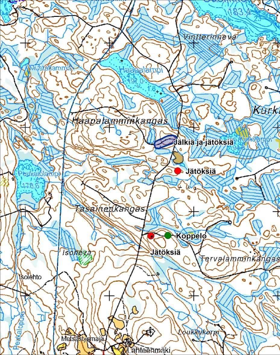 4 (7) 2.2 Tulokset 2.2.1 Metso Kuva 3. Metsohavainnot alueelta (kukko=sininen, koppelo=vihreä, jätökset=punainen). Selvitysalueella on laajalti mäntyvaltaista kangasmetsää ja ojitettua rämeistä suota.