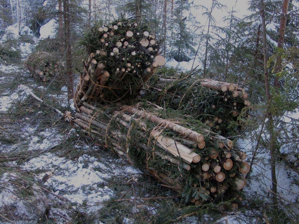 Viitekirjallisuus Kariniemi, A. 26. Puunkorjuu ja kaukokuljetus vuonna 25. Metsätehon tehon katsaus 19. Kärhä,, K., Vartiamäki, T., Liikkanen, R., Keskinen, S. & Lindroos, J. 24.