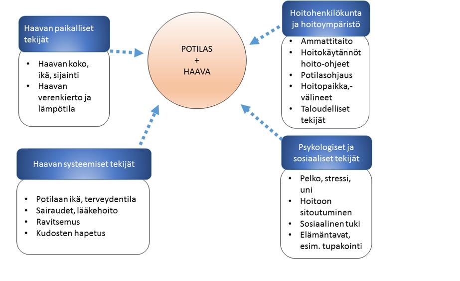 12 (36) 4 HAAVAN PARANEMISEEN VAIKUTTAVAT TEKIJÄT Haavan paranemiseen vaikuttavat potilaaseen liittyvät systeemiset tekijät ja haavan paikalliset tekijät (KUVIO 3).