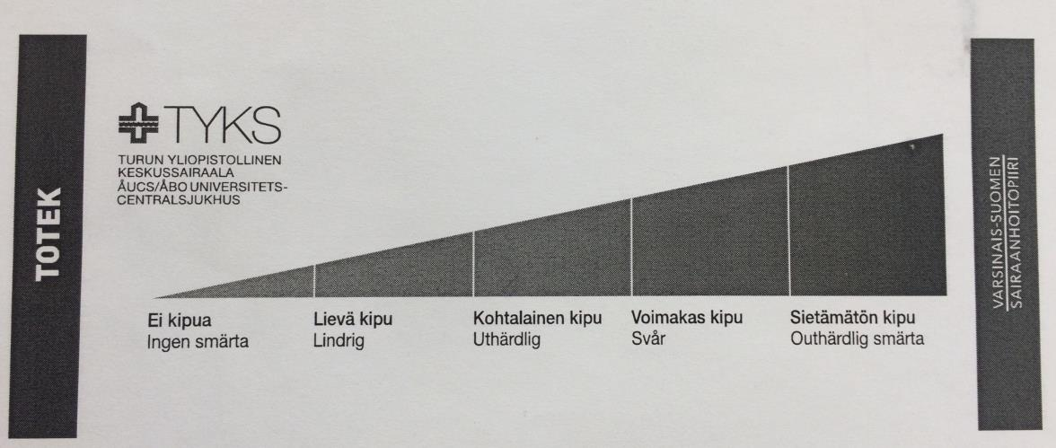 5 Kuva 1. Varsinais-Suomen sairaanhoitopiirissä käytössä olevat kipumittarit. (Aantaa ja Katomaa 2016. versio.5.) Yläpuolen kuvassa näkyvät kipumittarit ovat Varsinais-Suomen sairaanhoitopiirin uudistetusta kipuviuhkasta.