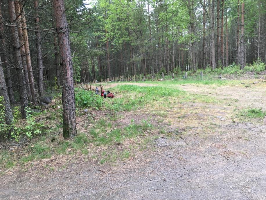 Lakalaivan kaatopaikka / Valokuvat Liite 2 Kaatopaikan vanhaa osaa, taustalla metsitetty