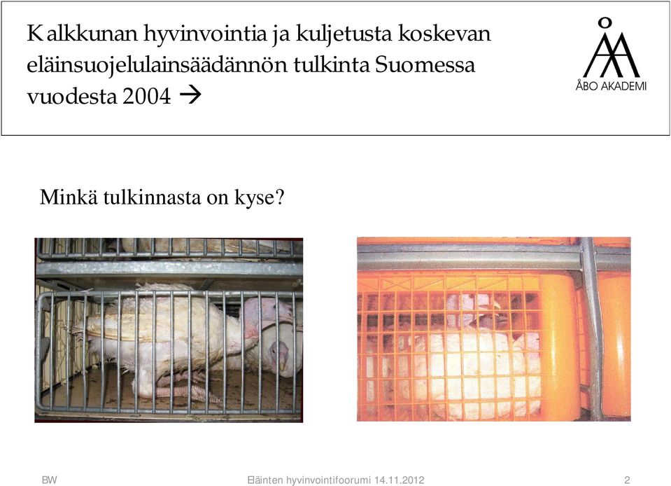 Suomessa vuodesta 2004 Minkä tulkinnasta on