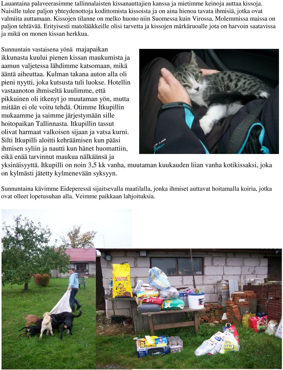 Molemmissa maissa on paljon tehtävää. Erityisesti matolääkkeille olisi tarvetta ja kissojen märkäruoalle jota on harvoin saatavissa ja mikä on monen kissan herkkua.