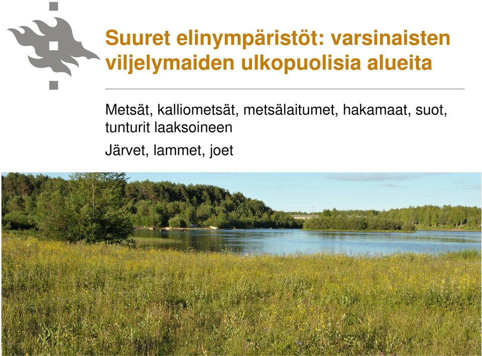 kalliometsät, metsälaitumet, hakamaat, suot,