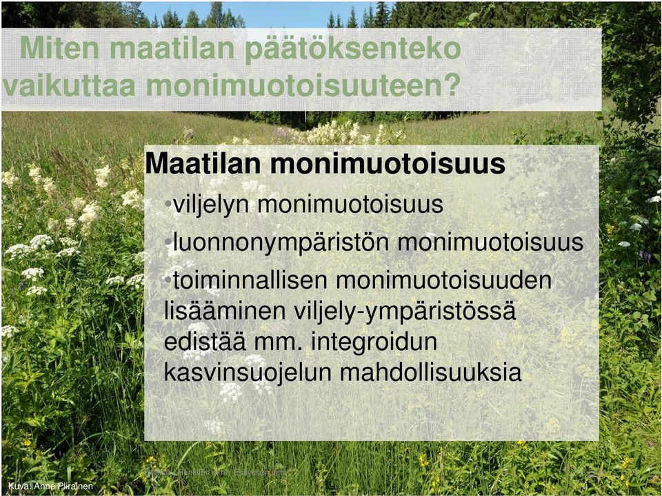 toiminnallisen monimuotoisuuden lisääminen viljely-ympäristössä edistää mm.