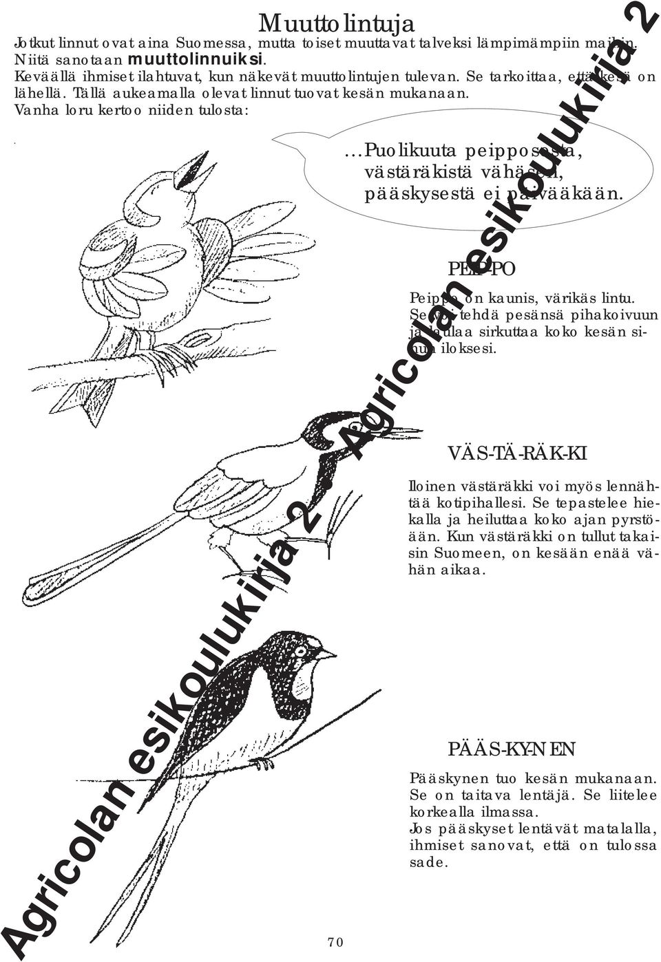PEIP-PO Peippo on kaunis, värikäs lintu. Se voi tehdä pesänsä pihakoivuun ja laulaa sirkuttaa koko kesän sinun iloksesi. VÄS-TÄ-RÄK-KI Iloinen västäräkki voi myös lennähtää kotipihallesi.