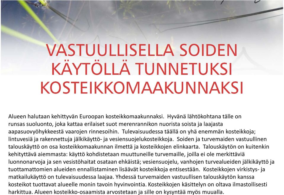 Tulevaisuudessa täällä on yhä enemmän kosteikkoja; lintuvesiä ja rakennettuja jälkikäyttö-ja vesiensuojelukosteikkoja.