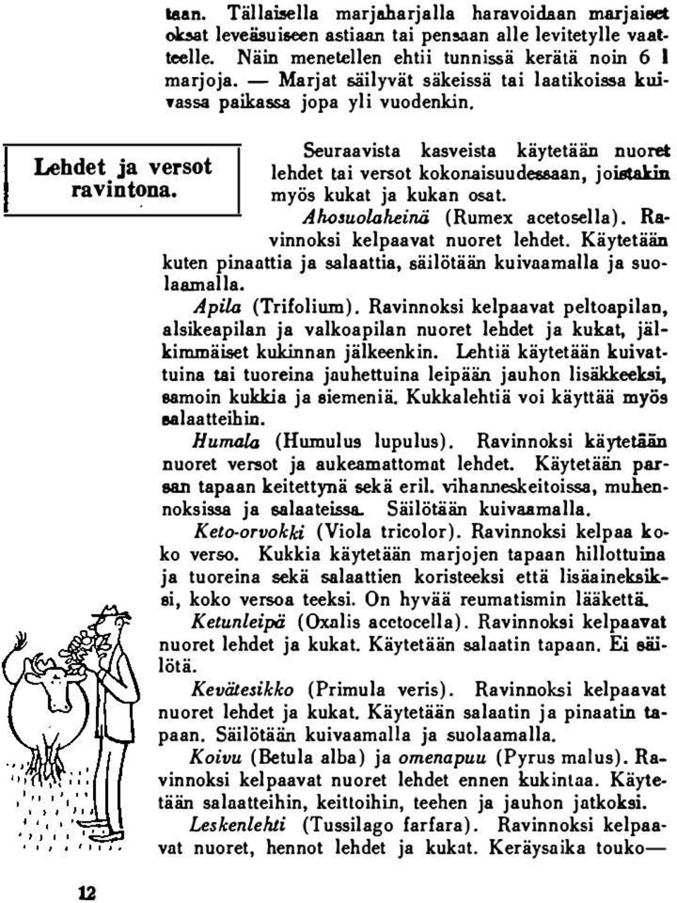 Seuraavista kasveista käytetään nuoret lehdet tai versot kokonaisuudessaan, joistakin myös kukat ja kukan osat. Aluuuoklheinä (Rumex acetosella). Ravinnoksi kelpaavat nuoret lehdet.