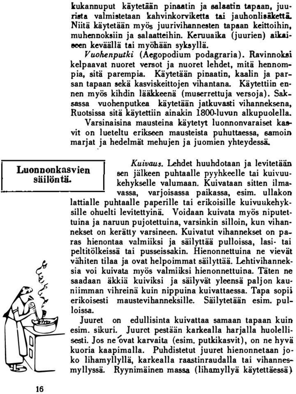 Käytetään pinaatin, kaalin ja parsan tapaan sekä kasviskeittojen vihantana. Käytettiin en nen myös kihdin lääkkeenä (muserrettuja versoja).