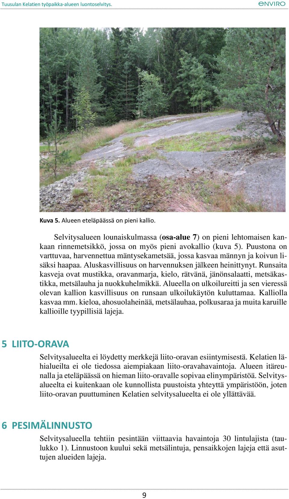 Runsaita kasveja ovat mustikka, oravanmarja, kielo, rätvänä, jänönsalaatti, metsäkastikka, metsälauha ja nuokkuhelmikkä.