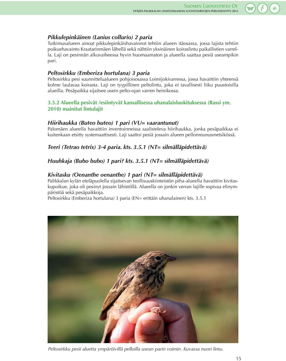 Peltosirkku (Emberiza hortulana) 3 paria Peltosirkku pesi suunnittelualueen pohjoisosassa Loimijokivarressa, jossa havaittiin yhteensä kolme laulavaa koirasta.