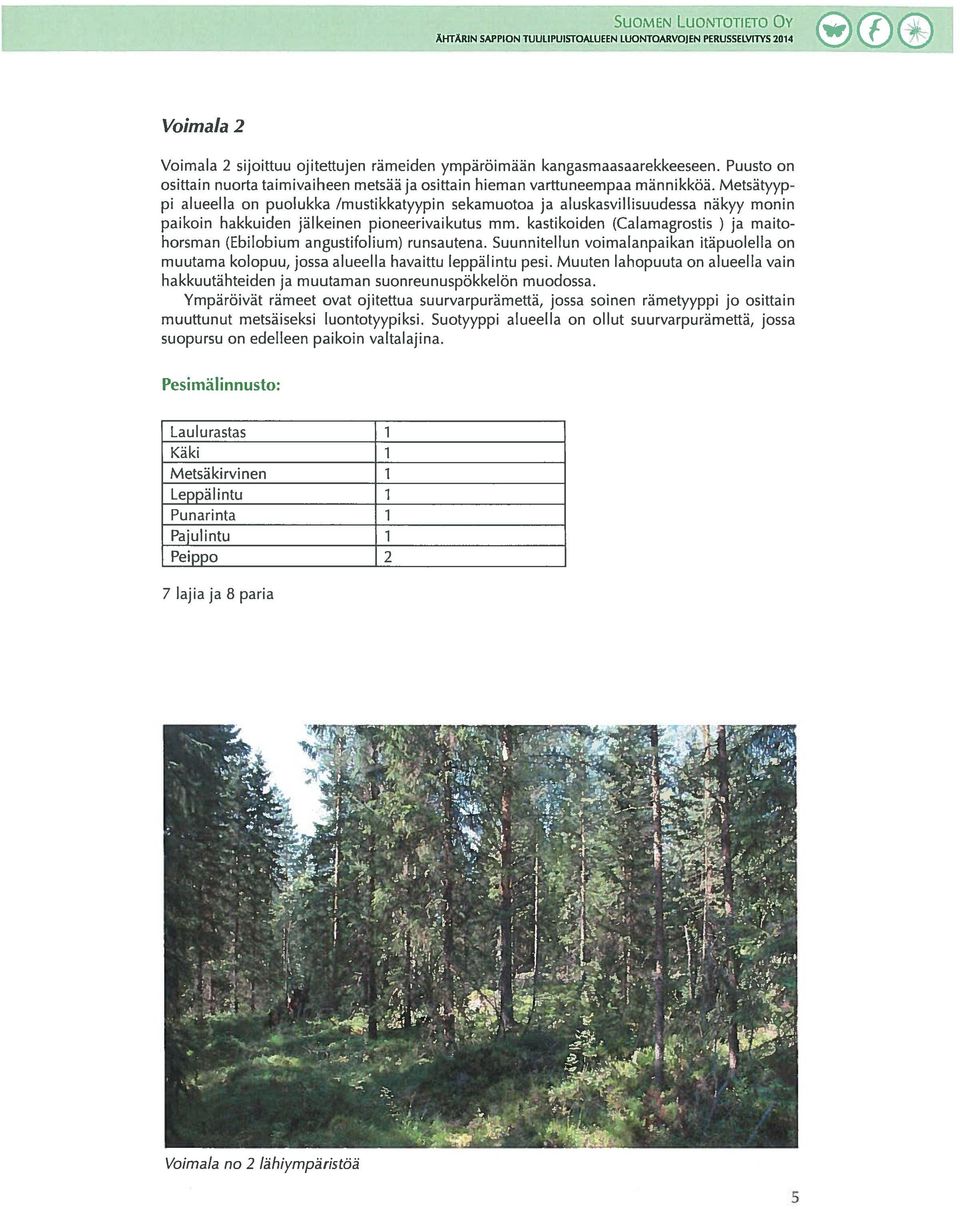 Metsätyyp p1 alueella on puolukka /mustikkatyypin sekamuotoa ja aluskasvillisuudessa näkyy monin paikoin hakkuiden jälkeinen pioneerivaikutus mm.