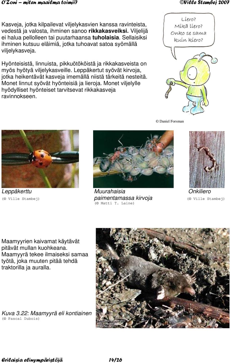 Leppäkertut syövät kirvoja, jotka heikentävät kasveja imemällä niistä tärkeitä nesteitä. Monet linnut syövät hyönteisiä ja lieroja.