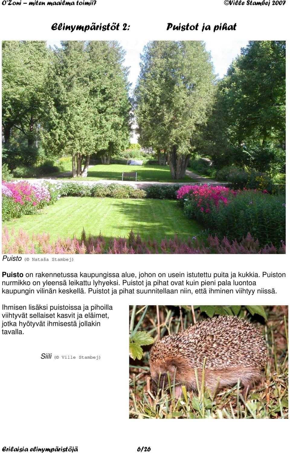 Puistot ja pihat ovat kuin pieni pala luontoa kaupungin vilinän keskellä.