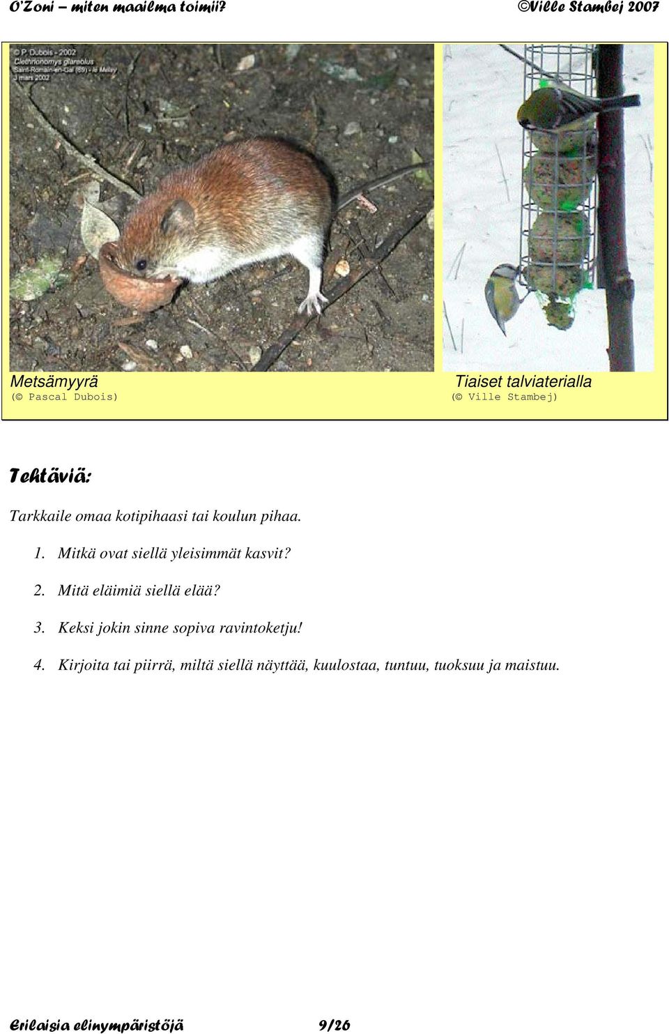 Mitä eläimiä siellä elää? 3. Keksi jokin sinne sopiva ravintoketju! 4.