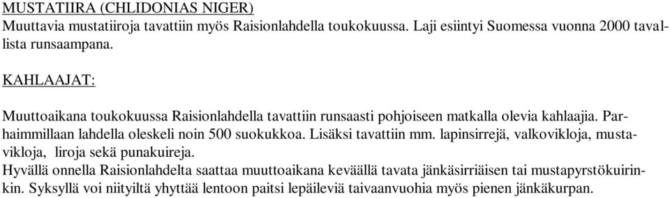 KAHLAAJAT: Muuttoaikana toukokuussa Raisionlahdella tavattiin runsaasti pohjoiseen matkalla olevia kahlaajia.