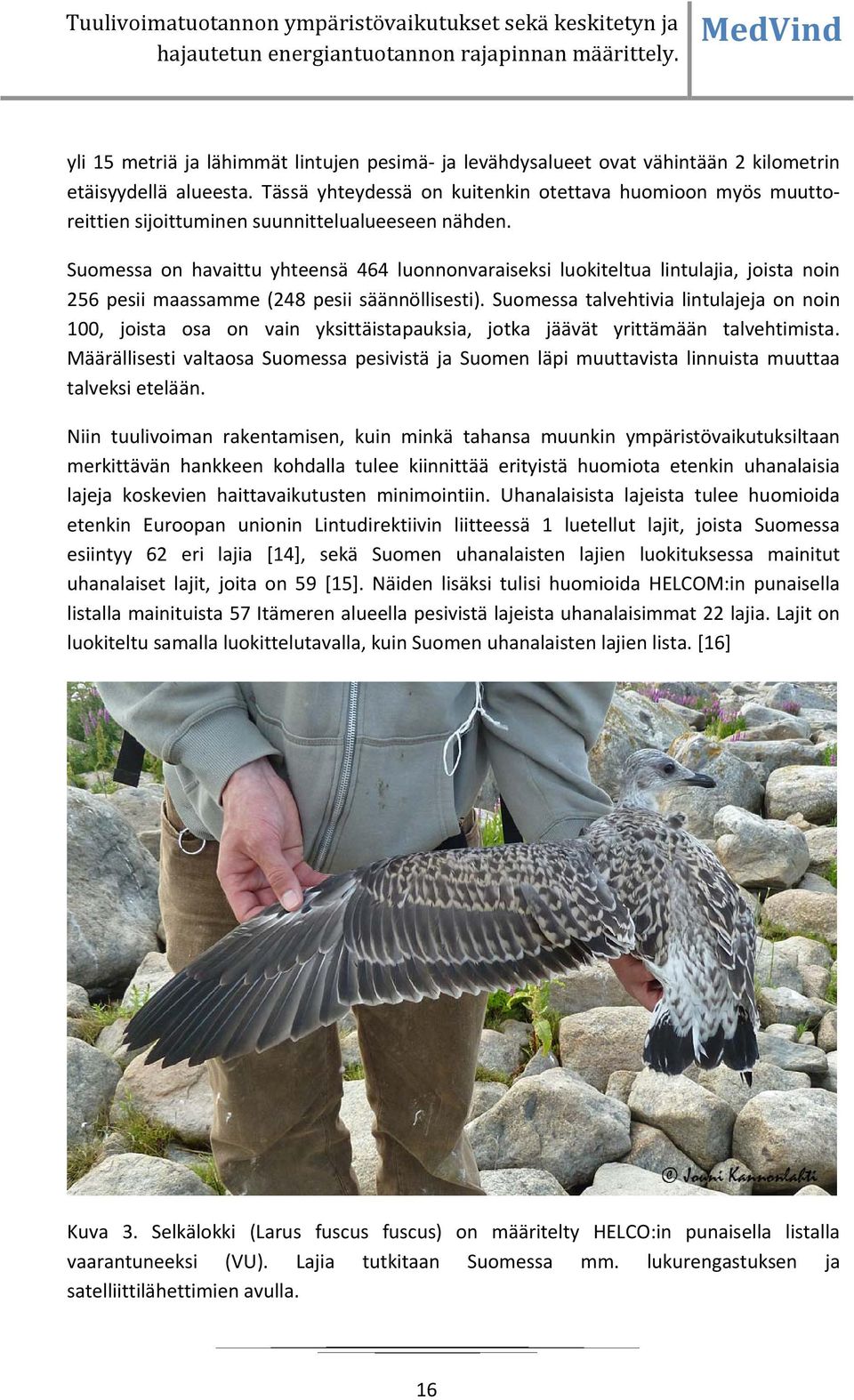 Suomessa on havaittu yhteensä 464 luonnonvaraiseksi luokiteltua lintulajia, joista noin 256 pesii maassamme (248 pesii säännöllisesti).