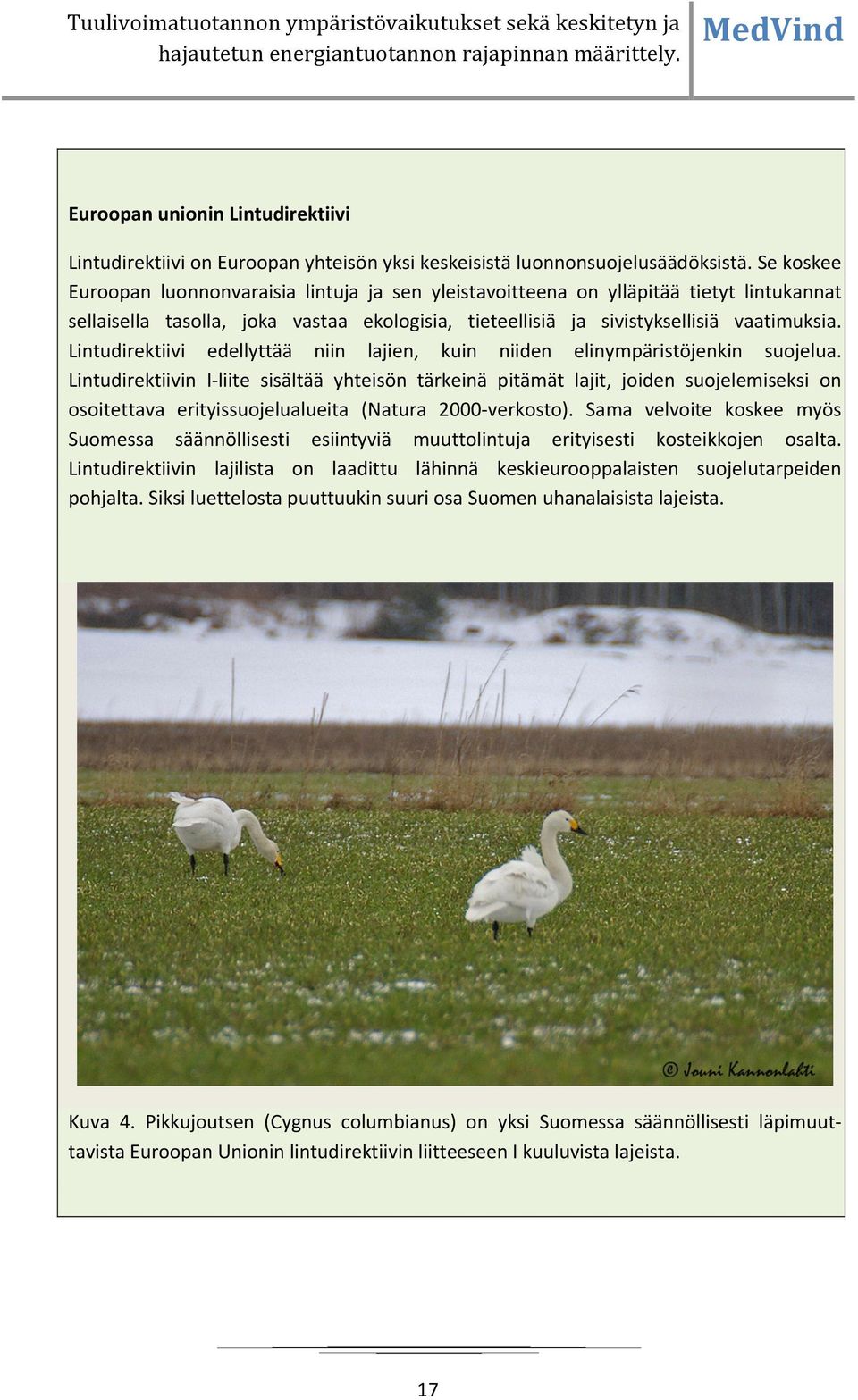 Lintudirektiivi edellyttää niin lajien, kuin niiden elinympäristöjenkin suojelua.