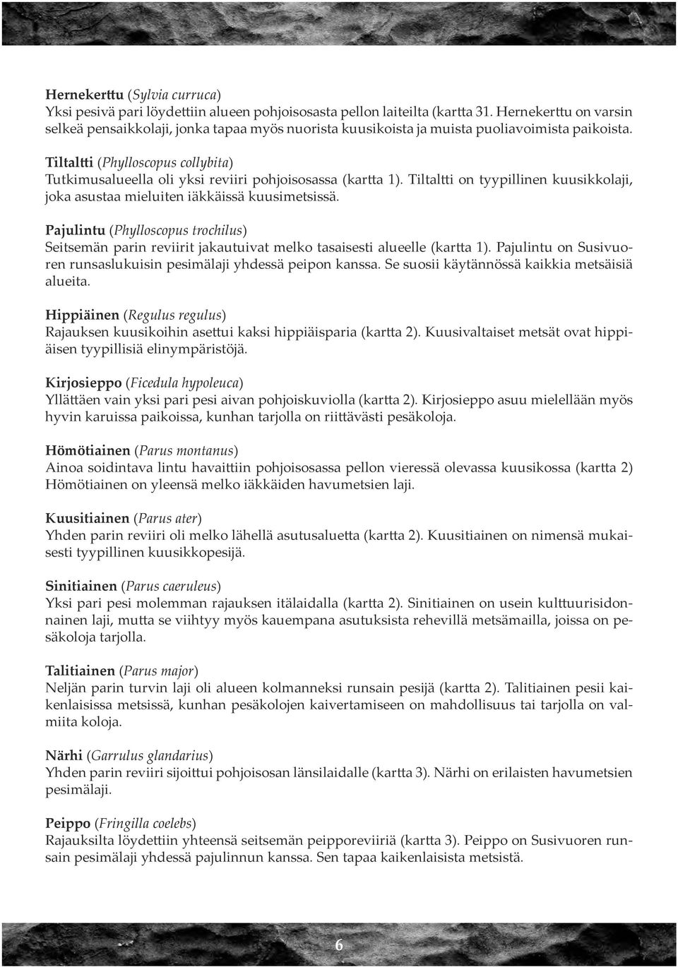 Tiltaltti (Phylloscopus collybita) Tutkimusalueella oli yksi reviiri pohjoisosassa (kartta 1). Tiltaltti on tyypillinen kuusikkolaji, joka asustaa mieluiten iäkkäissä kuusimetsissä.