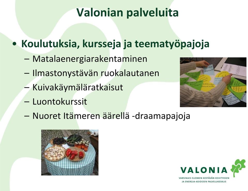 Ilmastonystävän ruokalautanen