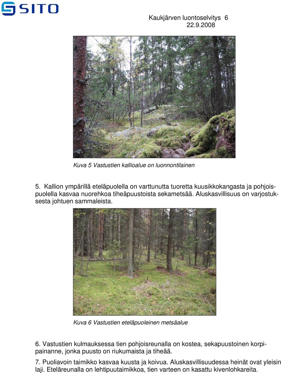 Aluskasvillisuus on varjostuksesta johtuen sammaleista. Kuva 6 Vastustien eteläpuoleinen metsäalue 6.