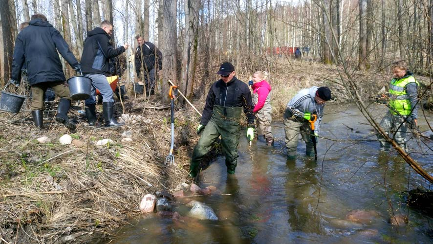 Kuva 4. Kormunniitynojan kunnostustalkoot Vantaalla 2.4 Keravanjoen melontareitin huoltotoimet Kokonaisuudessaan 65 kilometrin mittainen Keravanjoki on Vantaanjoen pisin sivuhaara.