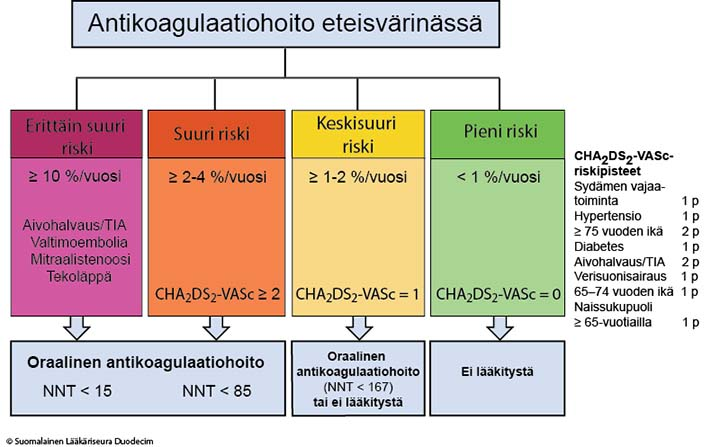 28 9. LIITTEET liite 1. AK-hoidon tarpeellisuuden arviointi CHA2DS2-VASc-pisteytystä käyttäen. liite 2. CHA 2 DS 2 -VASc-riskipistelaskuri.