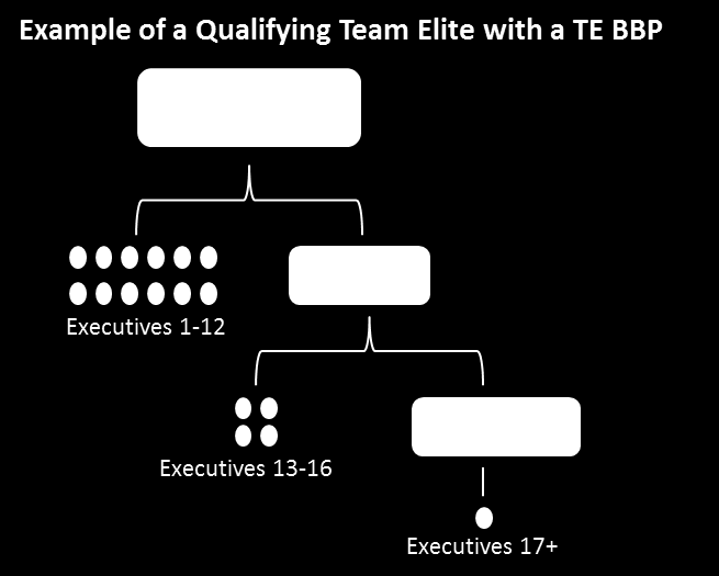 Team Elite BBP 1. Pätevöityminen TE BBP -tili perustetaan Emotilille sinä ensimmäisenä kuukautena, kun 16:n ensimmäisen sukupolven pätevän Breakaway Executiven määrä saavutetaan.